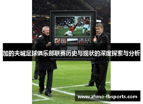 加的夫城足球俱乐部联赛历史与现状的深度探索与分析 加的夫城足球俱乐部联赛历史与现状的深度探索与分析