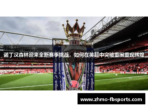 诺丁汉森林迎来全新赛季挑战,如何在英超中突破重围重现辉煌 诺丁汉森林迎来全新赛季挑战,如何在英超中突破重围重现辉煌