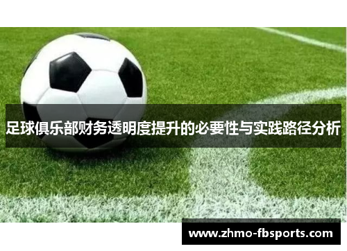 足球俱乐部财务透明度提升的必要性与实践路径分析 足球俱乐部财务透明度提升的必要性与实践路径分析